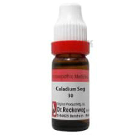 Dr. Reckeweg Caladium Seg Dilution 30 CH 11Ml