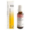 Dr. Reckeweg R33 Epilepsy Drop 22 Ml