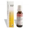 Dr. Reckeweg R37 Intestinal Colic Drop 22 Ml