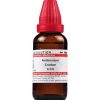 Dr Willmar Schwabe India Antimonium Crudum Dilution 6 Ch