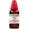 Dr Willmar Schwabe India Arsenicum Album Dilution 30 CH