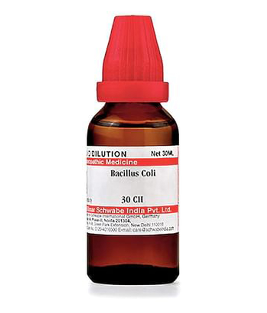 Dr Willmar Schwabe India Bacillus Coli Dilution 30 Ch