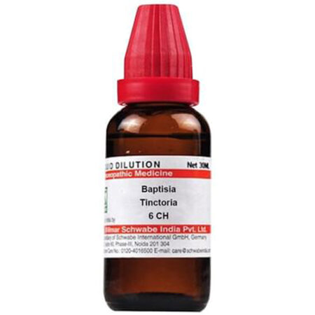 Dr Willmar Schwabe India Baptisia Tinctoria Dilution 6 Ch