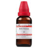 Dr Willmar Schwabe India Bellis Perennis Mother Tincture Q