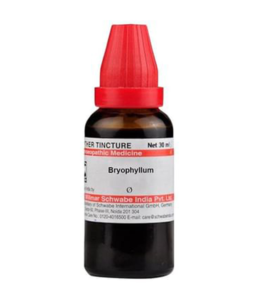Dr Willmar Schwabe India Bryophyllum Mother Tincture Q
