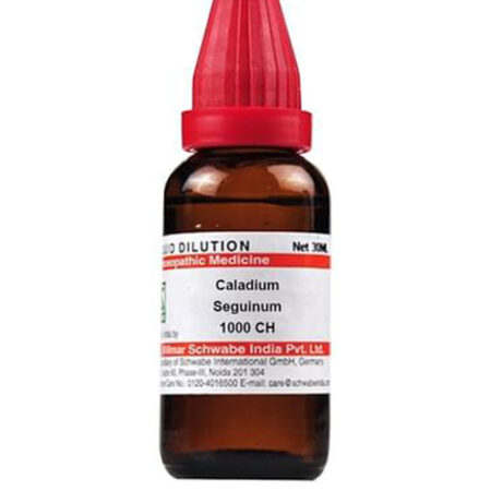 Dr Willmar Schwabe India Caladium Seguinum Dilution 1000 Ch