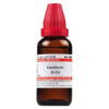 Dr Willmar Schwabe India Causticum Dilution 30 Ch