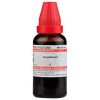 Dr Willmar Schwabe India Causticum Mother Tincture Q
