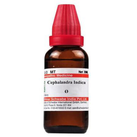 Dr Willmar Schwabe India Cephalandra Indica Mother Tincture Q