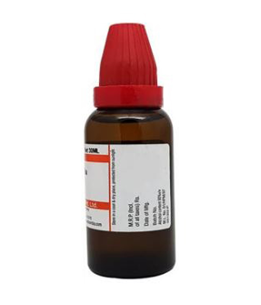 Dr Willmar Schwabe India Chelidonium Majus Mother Tincture Q Dr Willmar Schwabe India Chelidonium Majus Mother Tincture Q 30Ml
