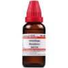 Dr Willmar Schwabe India Cimicifuga Racemosa Dilution 200 CH