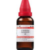 Dr Willmar Schwabe India Colchicum Autumnale Mother Tincture Q