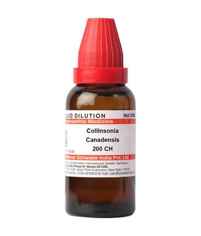 Dr Willmar Schwabe India Collinsonia Canadensis Dilution 200 CH Dr Willmar Schwabe India Collinsonia Canadensis Dilution 200 CH