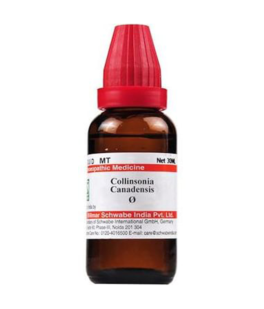 Dr Willmar Schwabe India Collinsonia Canadensis Mother Tincture Q