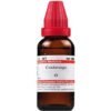 Dr Willmar Schwabe India Condurango Mother Tincture Q