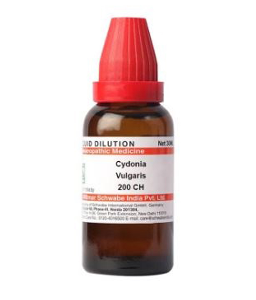 Dr Willmar Schwabe India Cydonia Vulgaris Dilution 200 Ch