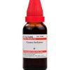 Dr Willmar Schwabe India Cynara Scolymus Mother Tincture Q