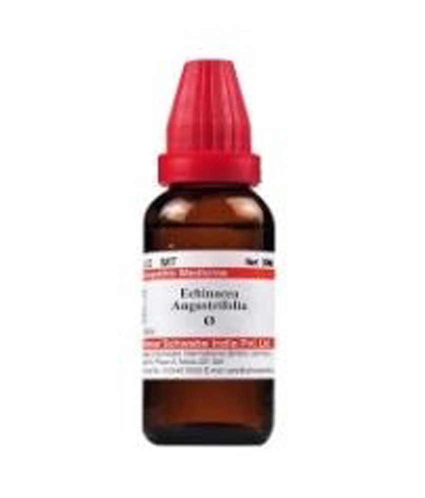 Dr Willmar Schwabe India Echinacea Angustifolia Mother Tincture Q