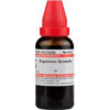Dr Willmar Schwabe India Equisetum Hyemale Mother Tincture Q