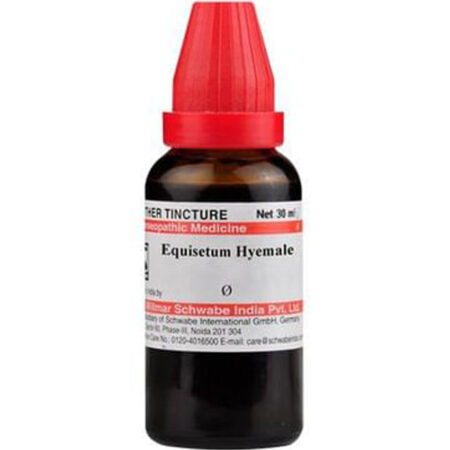 Dr Willmar Schwabe India Equisetum Hyemale Mother Tincture Q