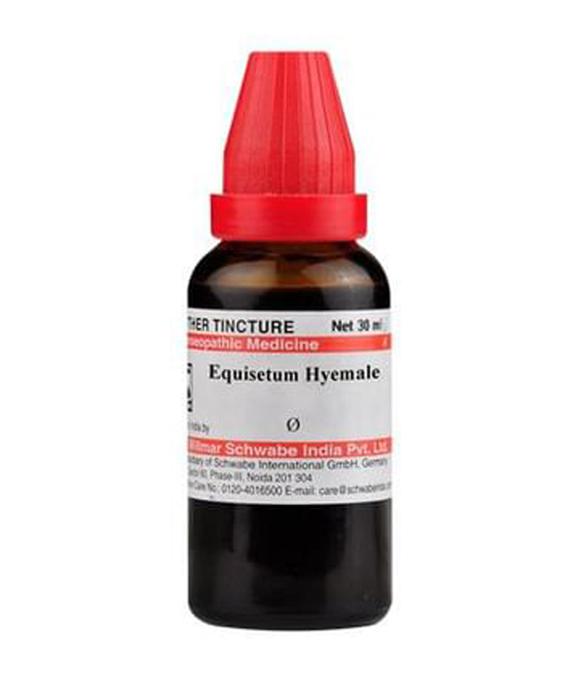 Dr Willmar Schwabe India Equisetum Hyemale Mother Tincture Q Dr Willmar Schwabe India Equisetum Hyemale Mother Tincture Q