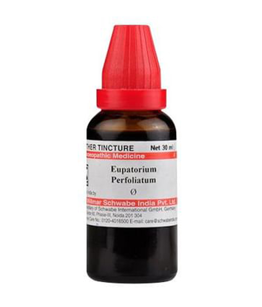 Dr Willmar Schwabe India Eupatorium Perfoliatum Mother Tincture Q Dr Willmar Schwabe India Eupatorium Perfoliatum Mother Tincture Q