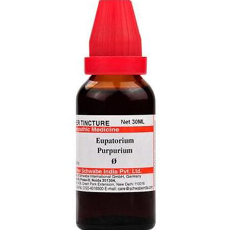 Dr Willmar Schwabe India Eupatorium Purpurium Mother Tincture Q