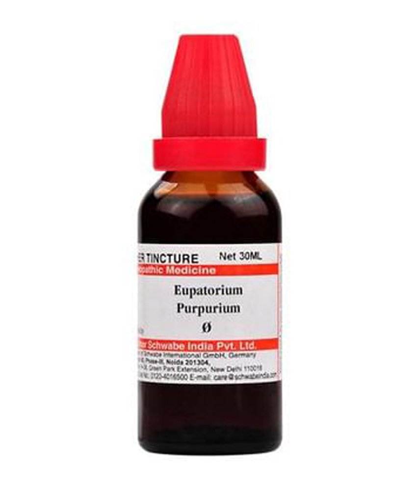 Dr Willmar Schwabe India Eupatorium Purpurium Mother Tincture Q