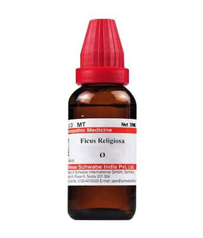 Dr Willmar Schwabe India Ficus Religiosa Mother Tincture Q