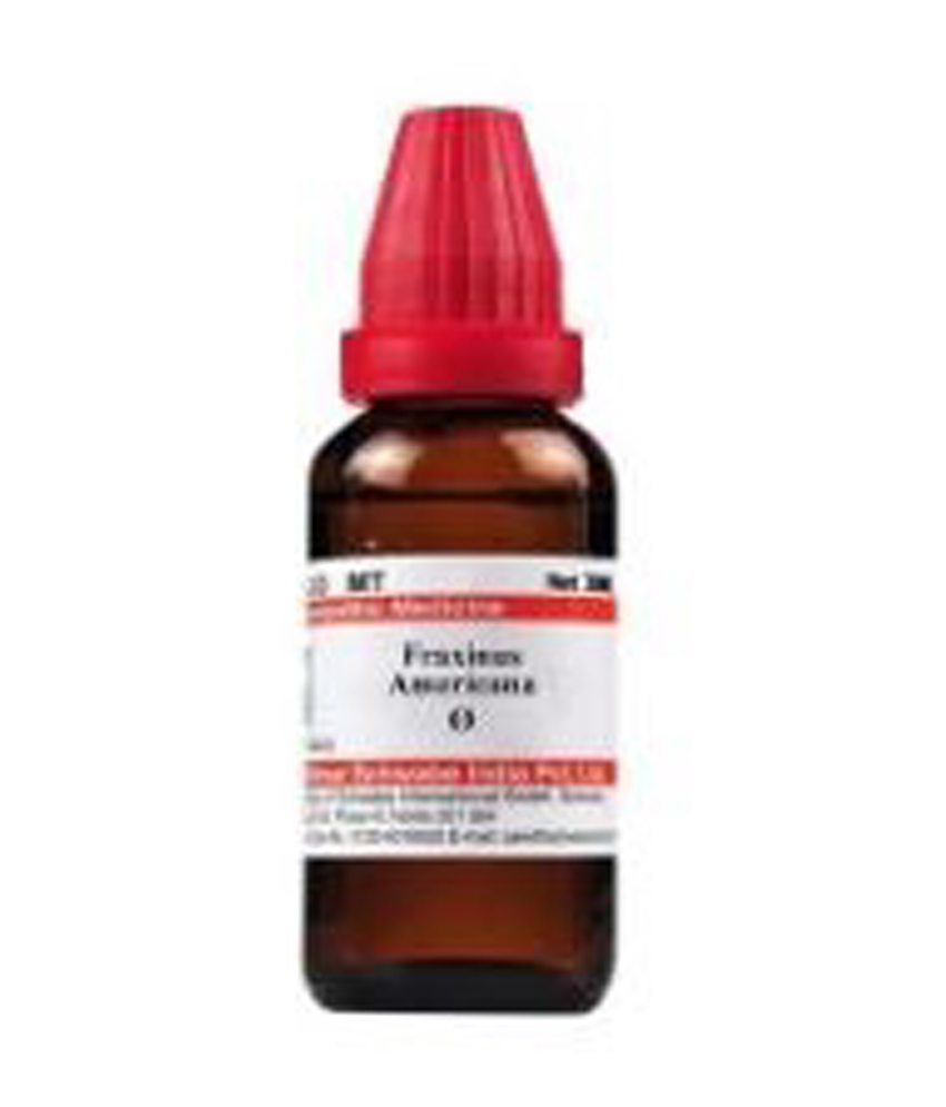 Dr Willmar Schwabe India Fraxinus Americana Mother Tincture Q Dr Willmar Schwabe India Fraxinus Americana Mother Tincture Q