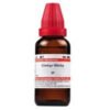 Dr Willmar Schwabe India Ginkgo Biloba Mother Tincture Q