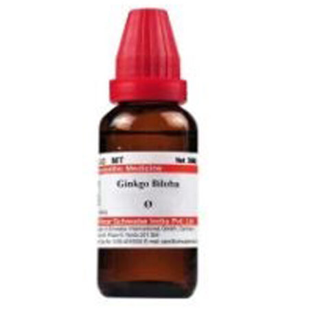 Dr Willmar Schwabe India Ginkgo Biloba Mother Tincture Q