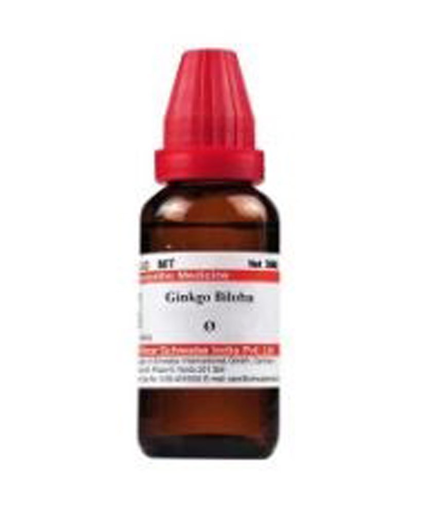 Dr Willmar Schwabe India Ginkgo Biloba Mother Tincture Q