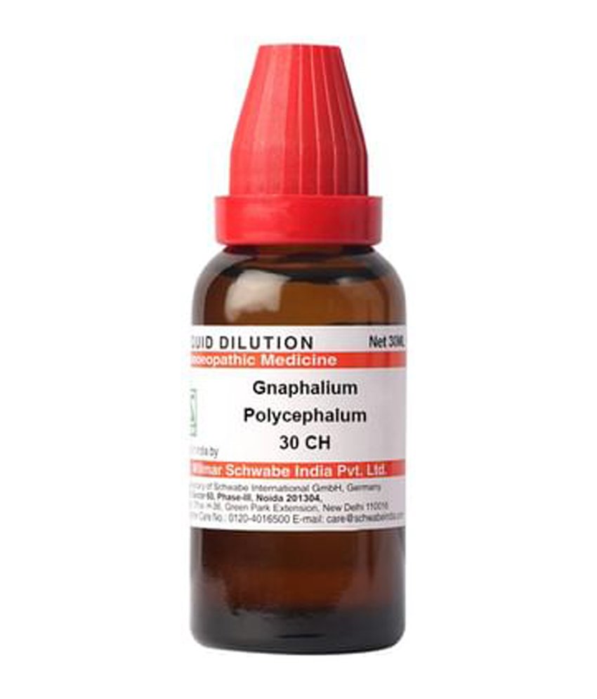 Dr Willmar Schwabe India Gnaphalium Polycephalum Dilution 30 CH Dr Willmar Schwabe India Gnaphalium Polycephalum Dilution 30 CH