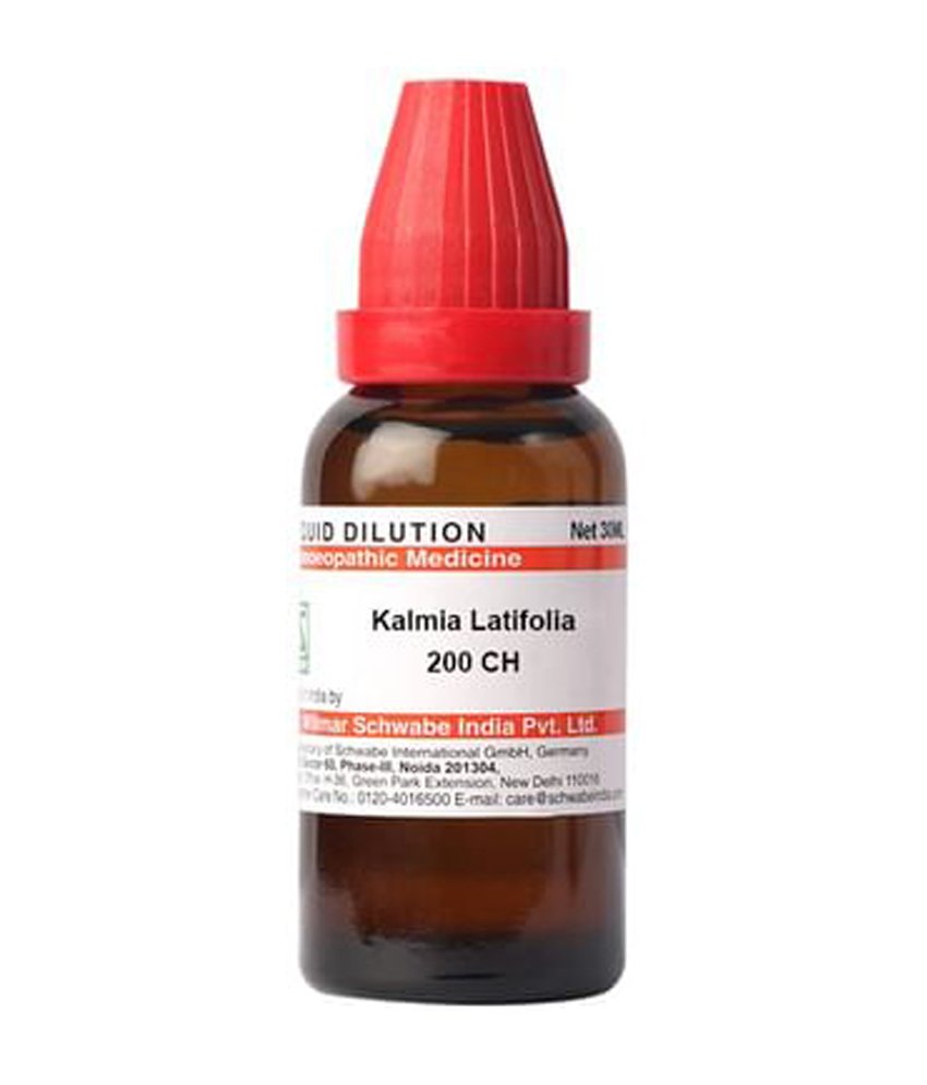 Dr Willmar Schwabe India Kalmia Latifolia Dilution 200 CH Dr Willmar Schwabe India Kalmia Latifolia Dilution 200 CH