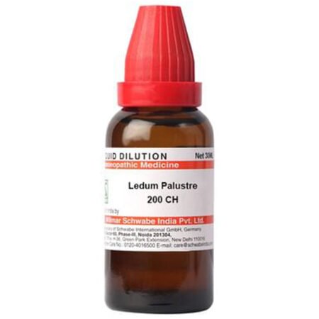Dr Willmar Schwabe India Ledum Palustre Dilution 200 Ch
