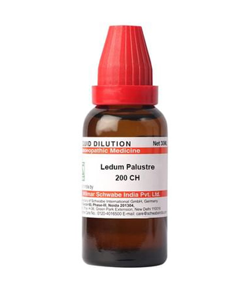 Dr Willmar Schwabe India Ledum Palustre Dilution 200 CH Dr Willmar Schwabe India Ledum Palustre Dilution 200 Ch
