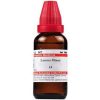 Dr Willmar Schwabe India Lemna Minor Mother Tincture Q