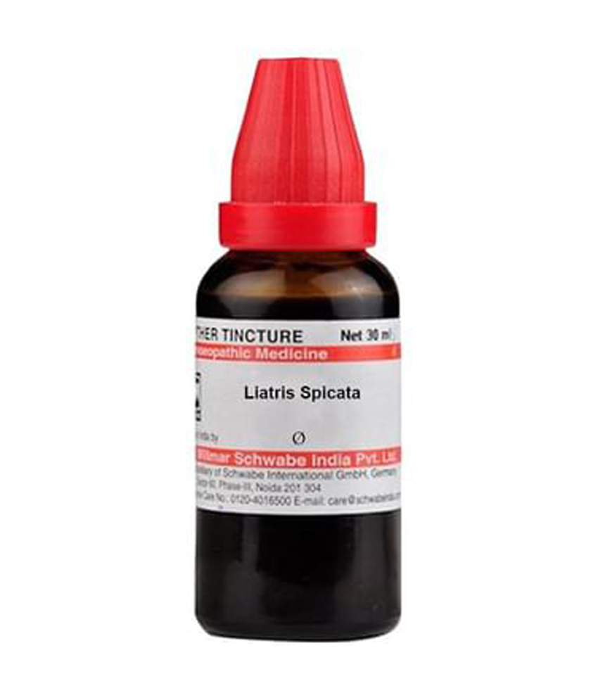 Dr Willmar Schwabe India Liatris Spicata Mother Tincture Q Dr Willmar Schwabe India Liatris Spicata Mother Tincture Q