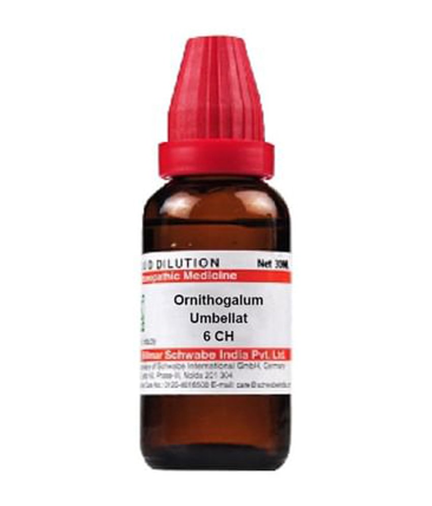 Dr Willmar Schwabe India Ornithogalum Umbellat Dilution 6 CH
