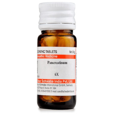 Dr Willmar Schwabe India Pancreatinum Trituration Tablet 6x