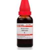 Dr Willmar Schwabe India Rosmarinus Officinalis Mother Tincture Q