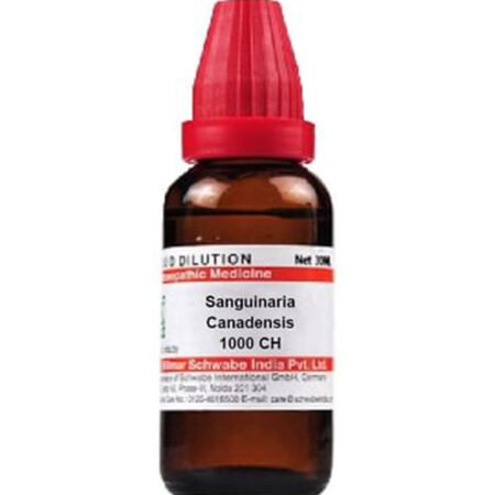 Dr Willmar Schwabe India Sanguinaria Canadensis Dilution 1000 CH