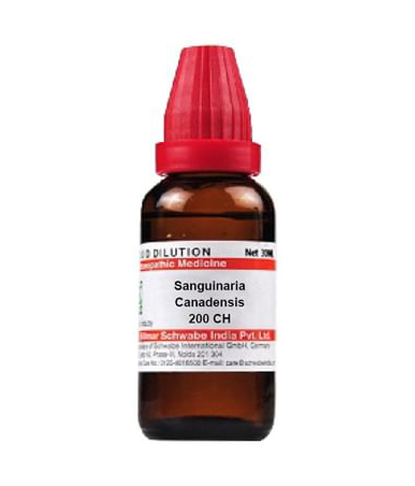 Dr Willmar Schwabe India Sanguinaria Canadensis Dilution 200 Ch