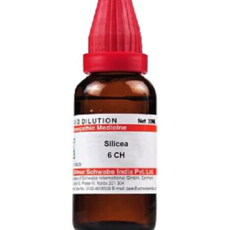 Dr Willmar Schwabe Silicea Dilution 6 CH