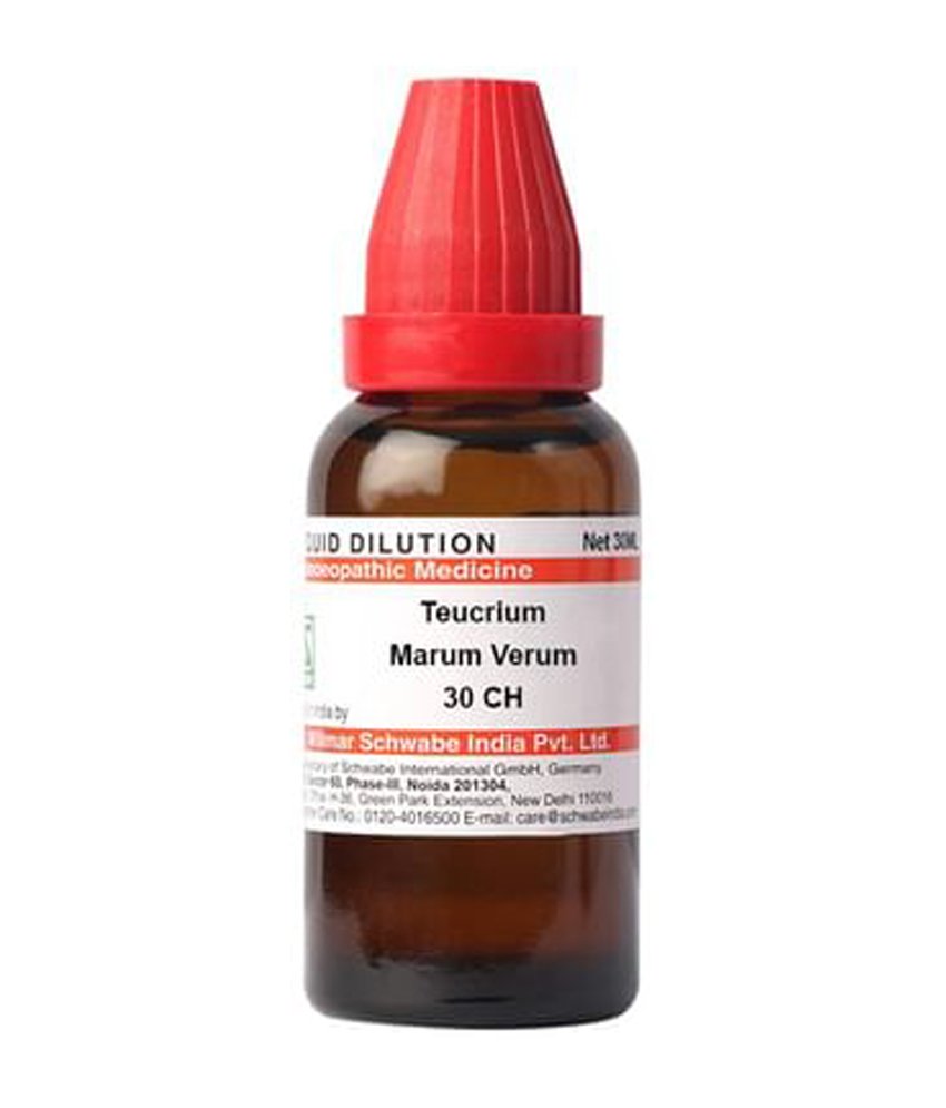 Dr Willmar Schwabe India Teucrium Marum Verum Dilution 30 CH Dr Willmar Schwabe India Teucrium Marum Verum Dilution 30 Ch