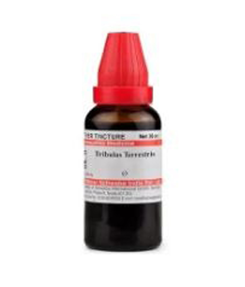 Dr Willmar Schwabe India Tribulus Terrestris Mother Tincture Q