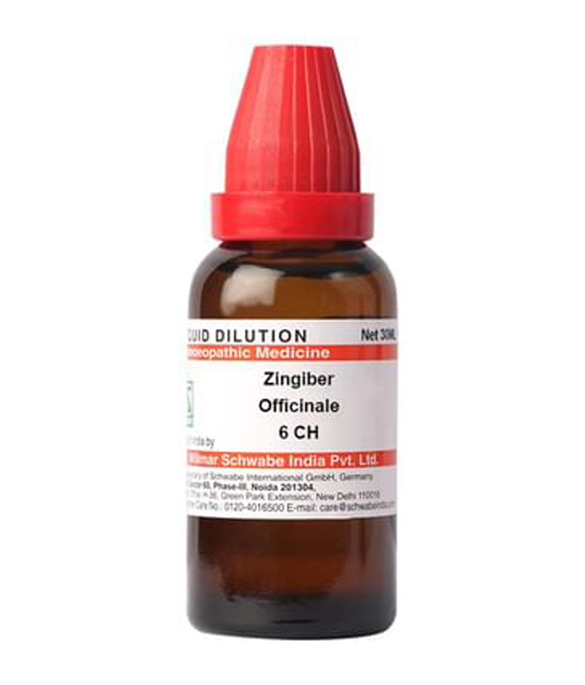 Dr Willmar Schwabe India Zingiber Officinale Dilution 6 CH