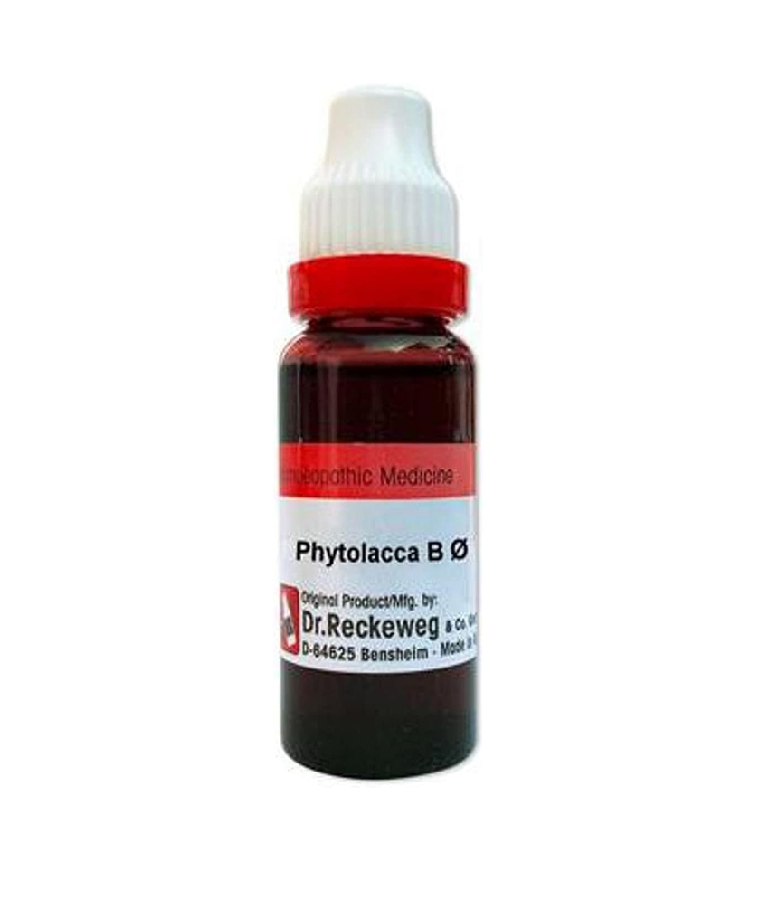 Dr. Reckeweg Phytolacca Berry Mother Tincture Q 20 Ml Dr. Reckeweg Phytolacca Berry Mother Tincture Q 20 Ml