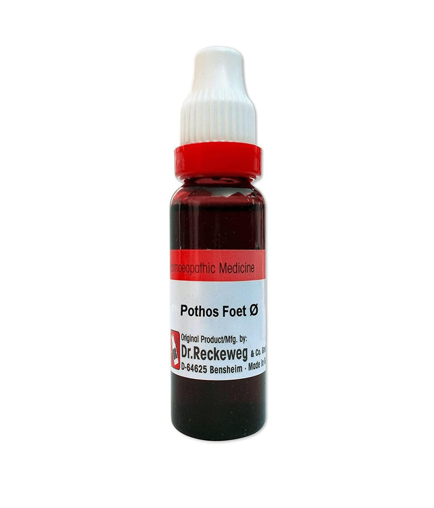 Dr. Reckeweg Pothos Foetida Mother Tincture Q 20 Ml